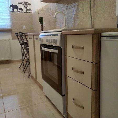 Studio Apartman Zdral Daruvar Eksteriør billede
