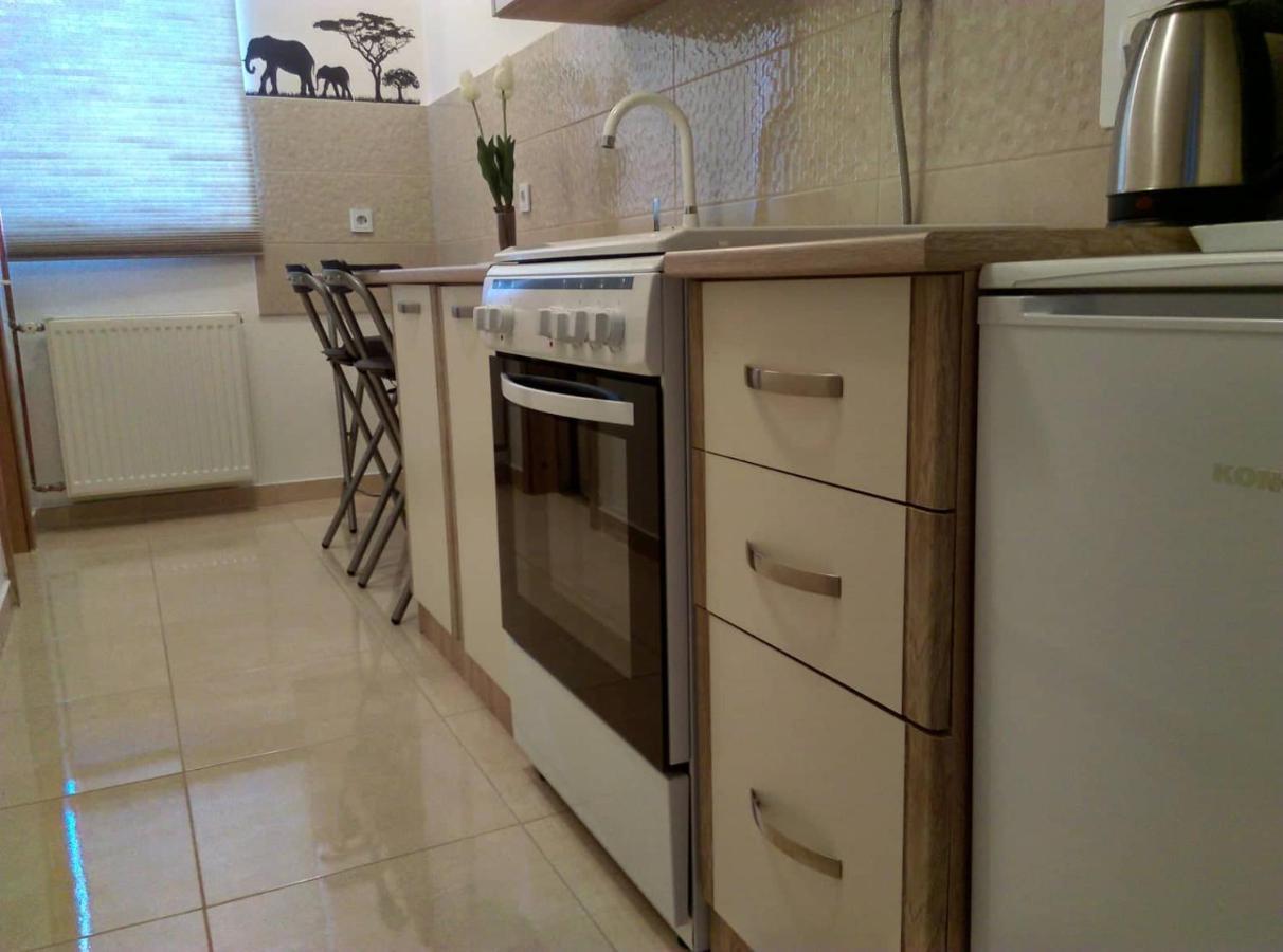 Studio Apartman Zdral Daruvar Eksteriør billede