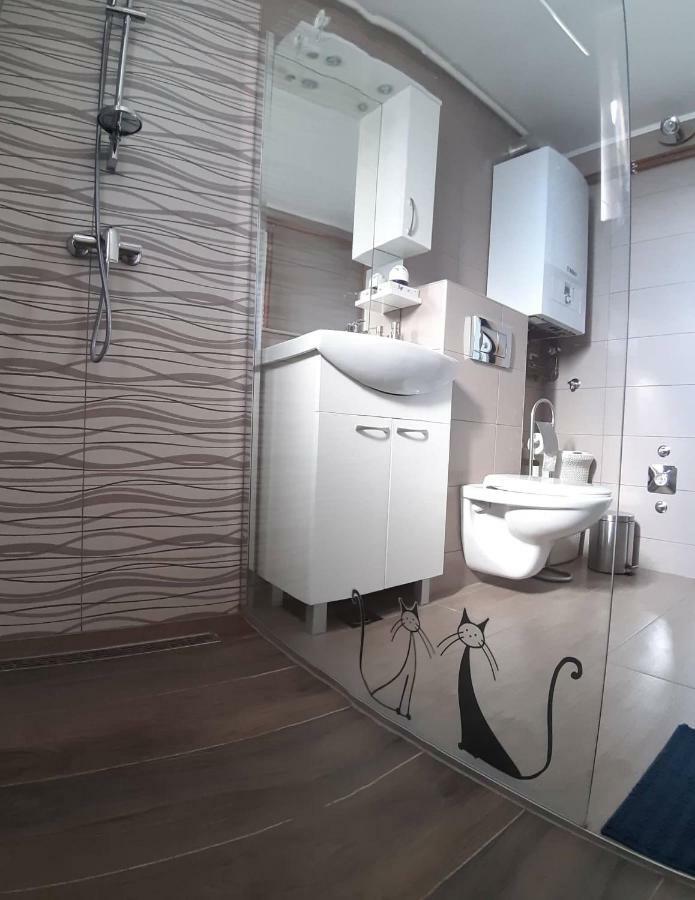 Studio Apartman Zdral Daruvar Eksteriør billede
